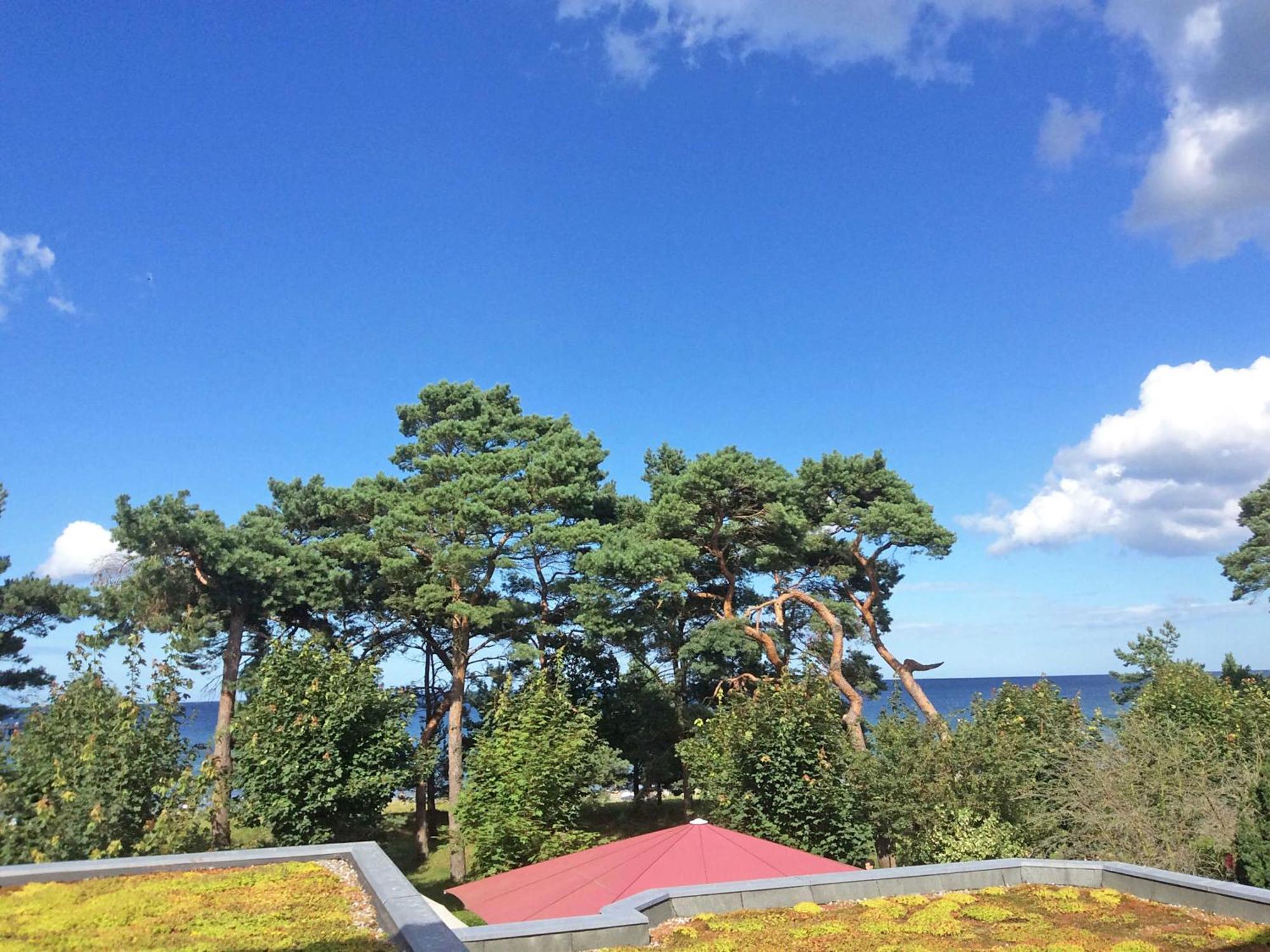 Villa Freia In Binz - Wg 11 Mit Meerblick Und Balkon 외부 사진